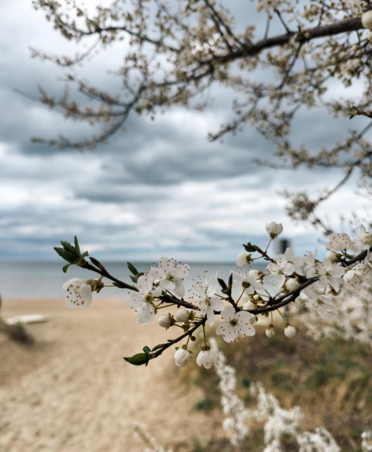 Marina Coastal * Sopot